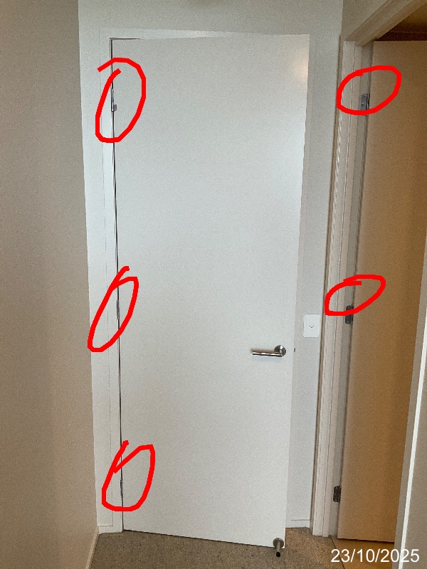Door hinges marked with red circles where paint requires removal